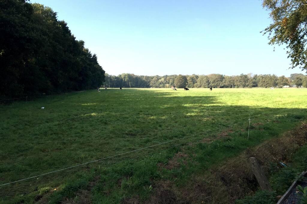 Villa Natuurhuisje Veluwe Met Houtkachel En Pizzaoven à Ermelo Extérieur photo